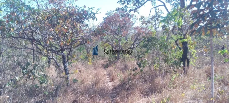 Imagem Chácara para Venda em Brasília, Setor Habitacional Jardim Botânico