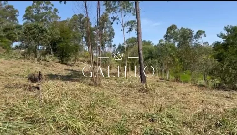 Imagem Terreno com 1960m² à venda no Recanto Florestal | Champirra | Jundiaí | São Paulo