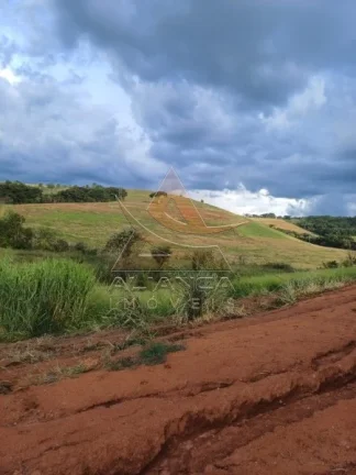 Imagem Fazenda - Conceição do Rio Verde - Zona Rural