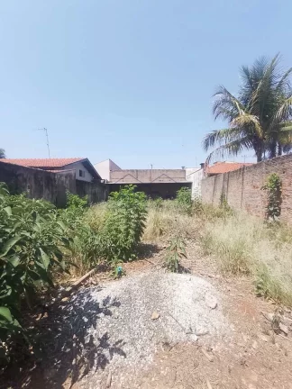 Imagem Terreno Padrão