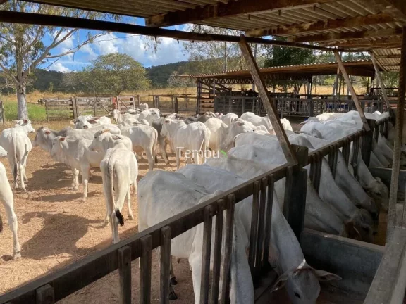 Imagem Fazenda zona Rural São Miguel do Passa Quatro, 175 ha, - GO, 36,1 Alqueires
