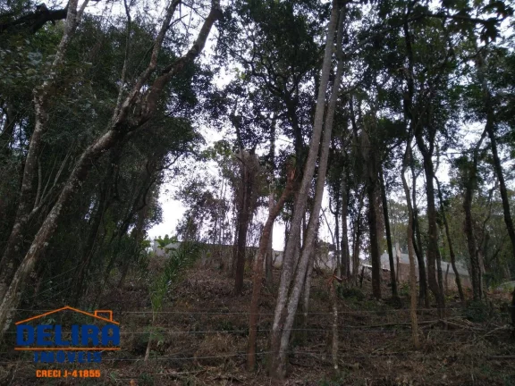 Imagem Terreno Escriturado em Terra Preta: Tranquilidade e Natureza Próxima a SP