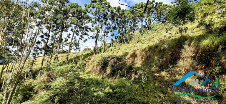 Imagem Viva o sonho na Serra da Mantiqueira neste aconchegante terreno!