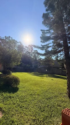 Imagem Vendo este excelente terreno totalmente plano. Nova friburgo