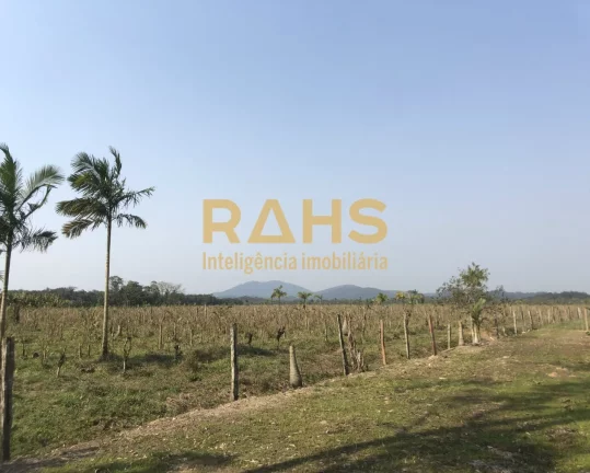 Imagem Fazenda mais linda de Garuva, é 100% plana, pode-se ver o gado de ponta a ponta da fazenda, tendo u...