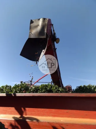 Imagem Fazenda de Café à Venda na Região do Alto Paranaíba - Minas Gerais