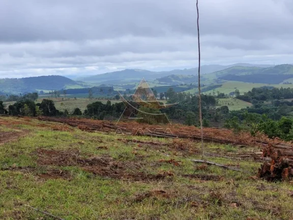 Fazenda - Santo Antônio do Amparo - Zona Rural