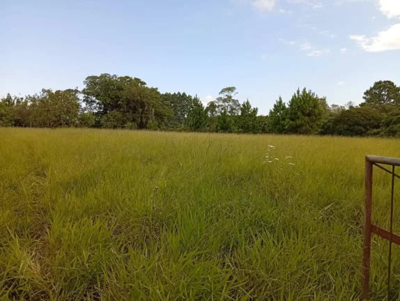 Imagem Sítio a venda com 9 Hectares, Passo da Areia, Viamão/RS