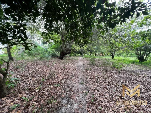 Imagem Terreno à venda, 39474 m² por R$ 1.578.970,00 - Patacas - Aquiraz/CE