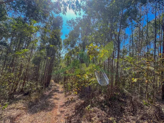 Imagem Sítio em Atibaia – Itapetinga | 15 Alqueires Melhor valor por m² da região