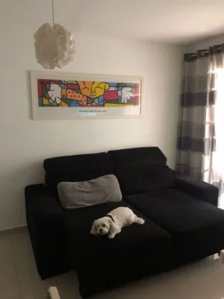 Imagem Apartamento à Venda em Vila Guilherme, São Paulo - SP
