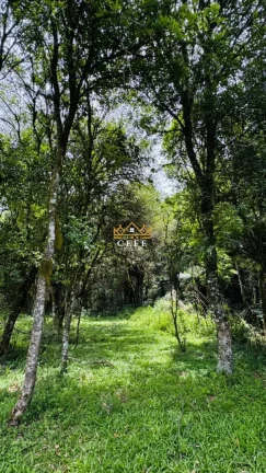 Imagem Chácara - Sítio com 3 Dormitorio(s) localizado(a) no bairro Serra Grande em Igrejinha / RIO GRANDE DO SUL Ref.:1594