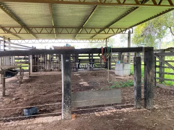 Imagem Fazenda zona Rural São Miguel do Passa Quatro, 175 ha, - GO, 36,1 Alqueires