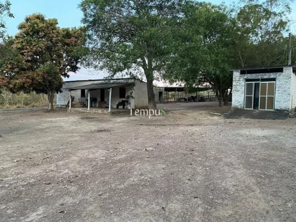 Imagem Fazenda zona Rural São Miguel do Passa Quatro, 175 ha, - GO, 36,1 Alqueires