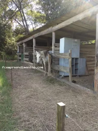 Imagem Chácara para Venda em Limeira, Bairro dos Frades, 3 dormitórios, 1 banheiro, 1 vaga