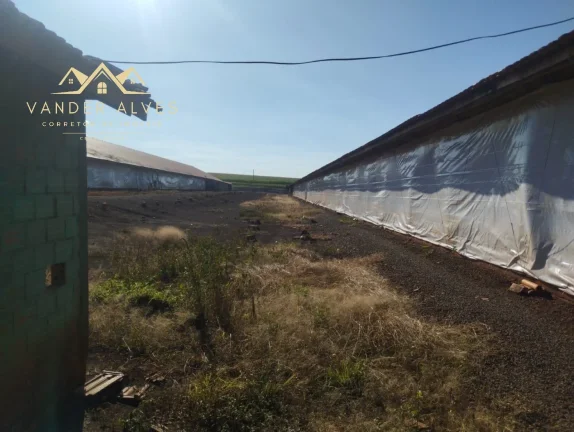 Imagem SITIO COMERCIAL em MARECHAL CÂNDIDO RONDON - PR, Zona rural