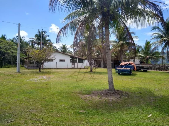 Imagem Vendo Fazenda produtiva 250mil m2, Conde / BA