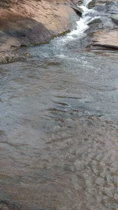 Imagem FAZENDA A VENDA EM ORIZONA-GO