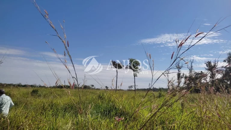 Imagem Sítio 68 HÉCTARES A 80 KM DE SINOP à venda, ÁREA RURAL, SINOP - MT