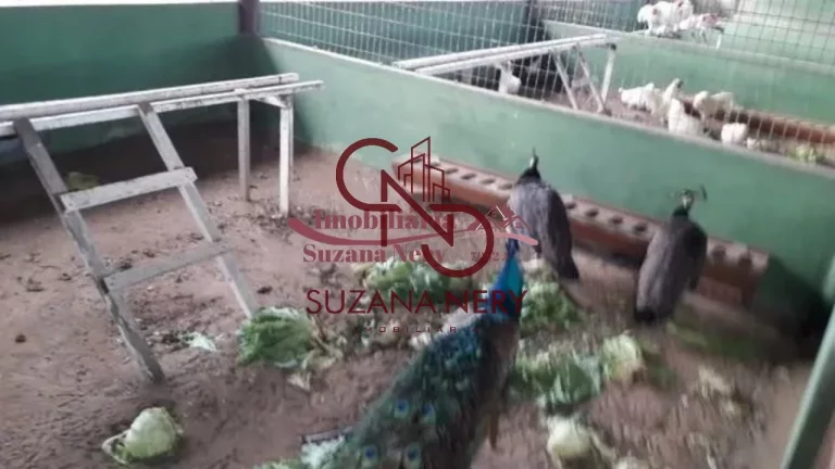 Imagem TERRENO COM 750M² NO CONDOMÍNIO FAZENDA REAL I E II