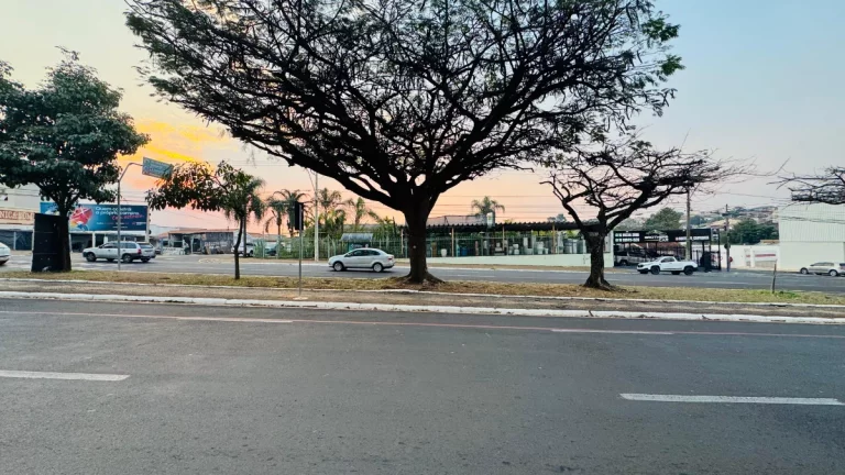 Imagem Galpão comercial para venda em Cidade Nova, 320m2