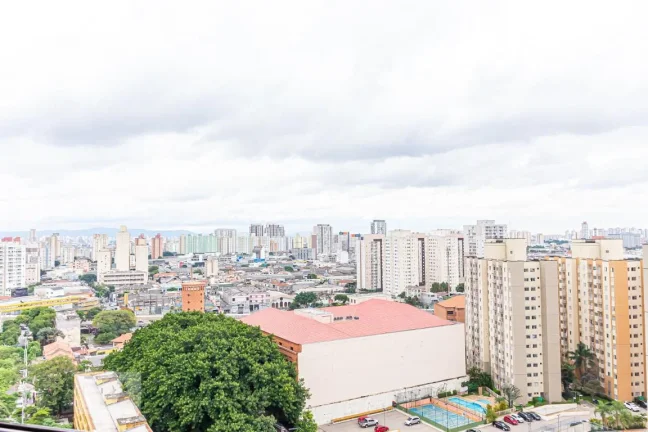 Imagem Apartamento à Venda - Cambuci, 2 Quartos, 85 m2