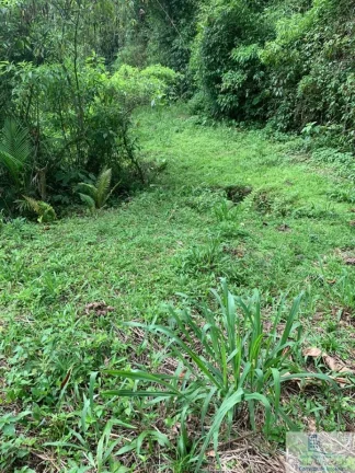 Imagem Rural - Chácara, para Venda em Rio dos Cedros/SC