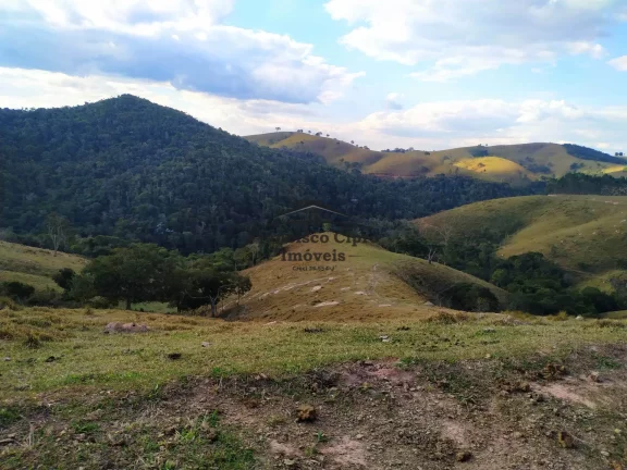 Imagem Fazenda à venda no bairro Catioca - Cunha/SP