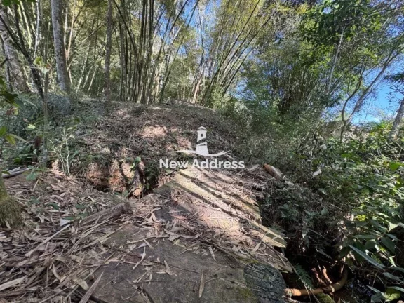 Imagem Terreno com nascente à venda em Soído de Cima - Domingos Martins