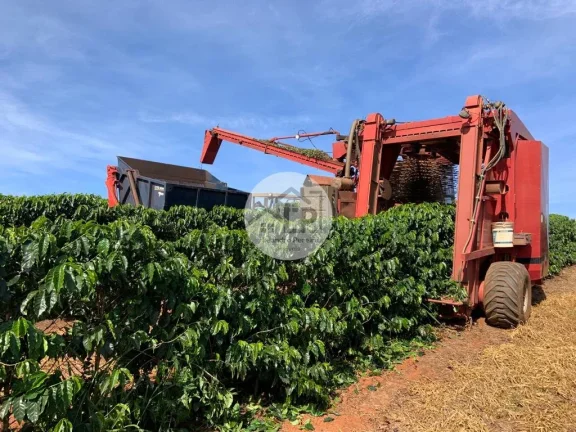 Imagem Fazenda de Café à Venda na Região do Alto Paranaíba - Minas Gerais
