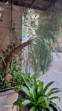 Imagem Apartamento Alto Padrão em Cerqueira César, São Paulo/SP