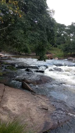 Imagem FAZENDA A VENDA EM ORIZONA-GO