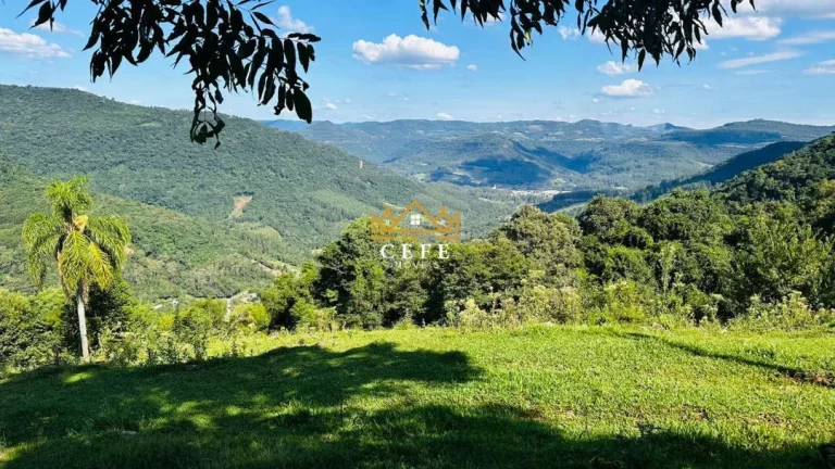 Chácara - Sítio com 2 Dormitorio(s) localizado(a) no bairro Morro Hansen em Picada Café / RIO GRANDE DO SUL Ref.:1560