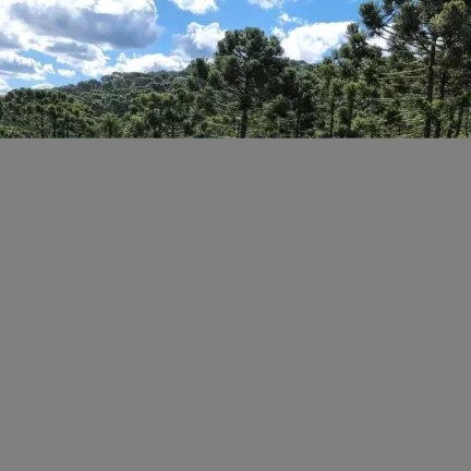 Imagem Fazenda de 34 hectares - São Joaquim/SC, Serra Catarinense