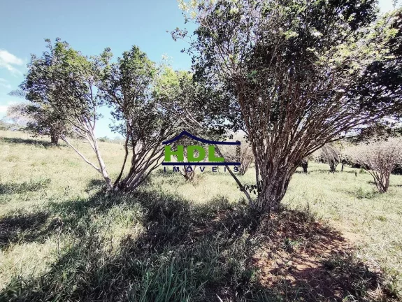 Imagem Chácara 5,3 Ha Oportunidade em Hidrolândia