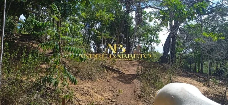 Imagem Casa Com Terreno Amplo à Venda em Simões Filho no Bairro Góes Calmon