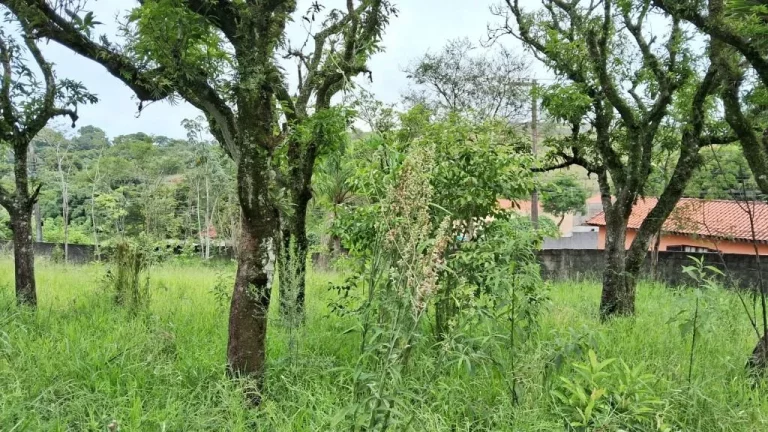 Imagem Terreno à venda, 1100 m² por R$ 170.000,00 - Chácaras Santa Maria - Jacareí/SP