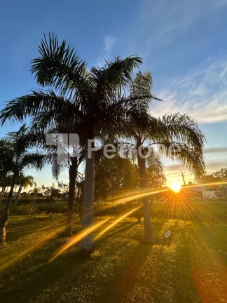 Imagem APARTAMENTO RESIDENCIAL em Governador Celso ramos - SC, Praia grande