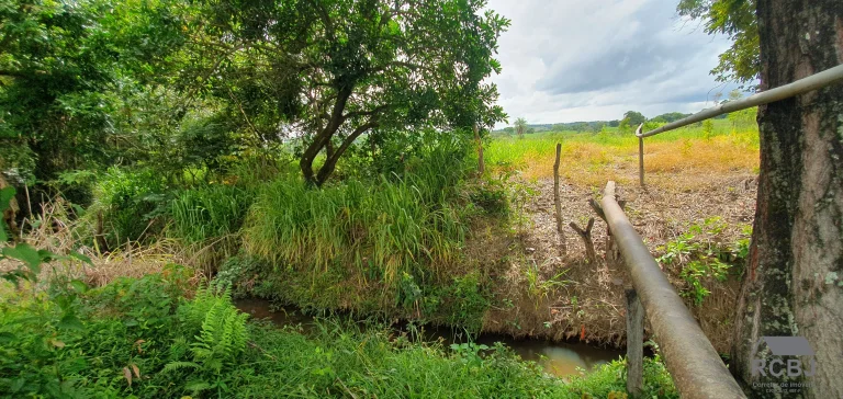 Imagem AREA RURAL em ESMERALDAS - MG, ANDIROBA
