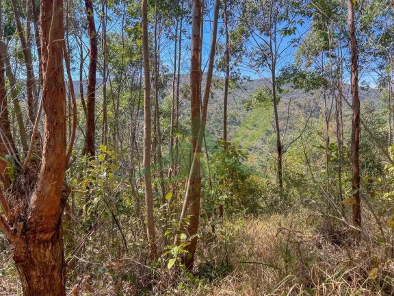 Imagem Sítio em Atibaia – Itapetinga | 15 Alqueires Melhor valor por m² da região