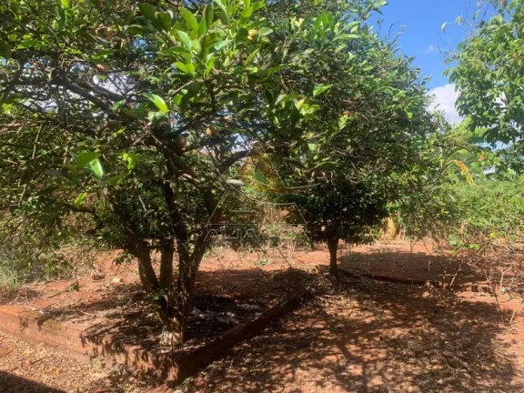 Imagem Terreno - Brodowski - Jardim Champagnat