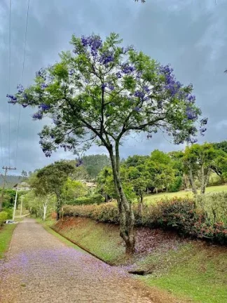 Imagem TERRENO EM CONDOMÍNIO FECHADO - CAPELA DO BARREIRO - ITATIBA SP