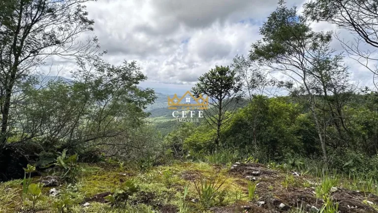 Imagem Terreno com 2 Dormitorio(s) localizado(a) no bairro Mato Comprido em Morro Reuter / RIO GRANDE DO SUL Ref.:1571