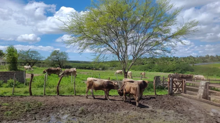 Imagem Terreno em Condomínio para Venda em Macaíba, Área Rural de Macaíba