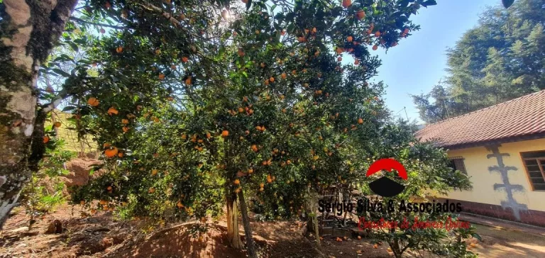 Imagem Sítio Com 10,5 hectares de Área Para Venda á 60 km de Campos do Jordão/SP.