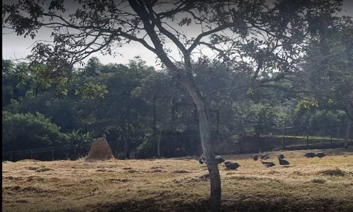 Imagem Terreno à venda, 1008 m² por R$ 365.700,00 - Condomínio Residencial Ibirapuera - Sorocaba/SP