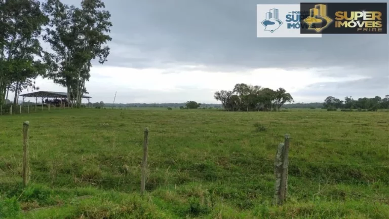 Imagem Fazenda Pecuária de excelência para Venda em Cristal-RS