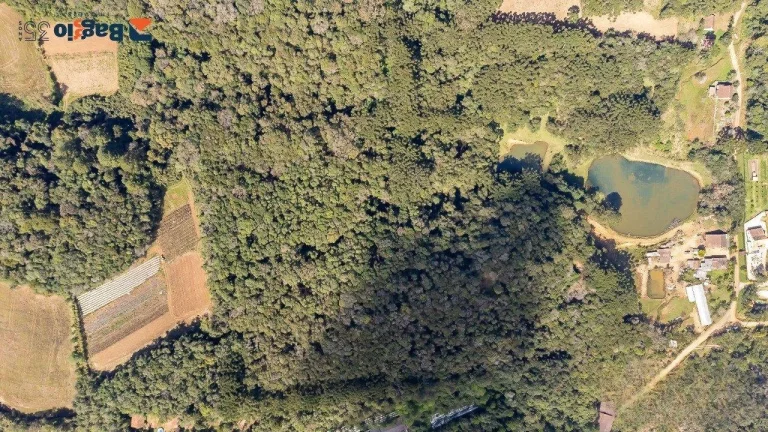 Imagem Chácara no Ferraria - Passaúna