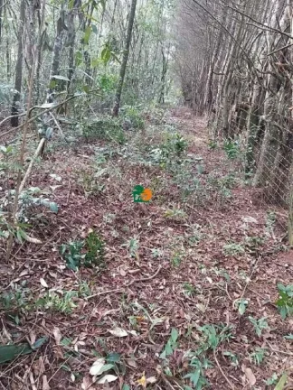 Imagem Terreno para Venda em São Roque, Mombaça