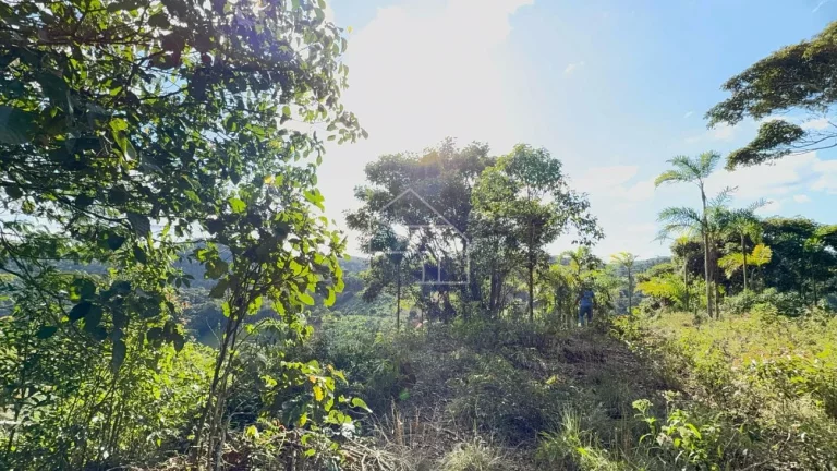 Imagem Chacara em Melgaço - Domingos Martins